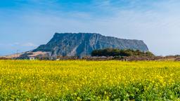 Jeju City Hotels