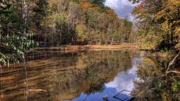Find cheap flights from Auckland to Ohio