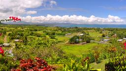 Find cheap flights from Wellington to Nadi