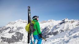 Swiss Alps hotels