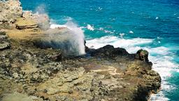 Lahaina car rentals
