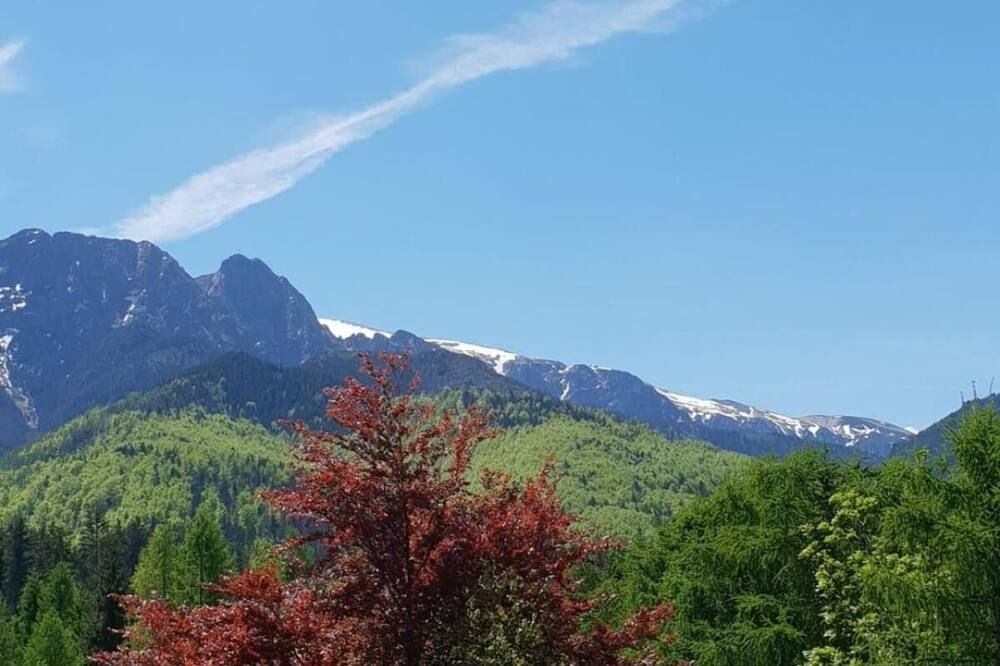 Outdoor view