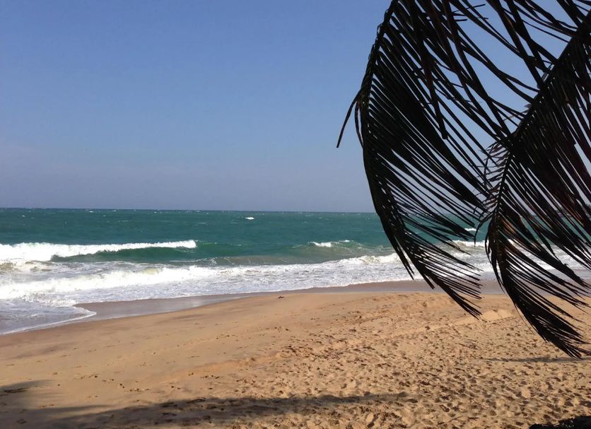 Beach Photo