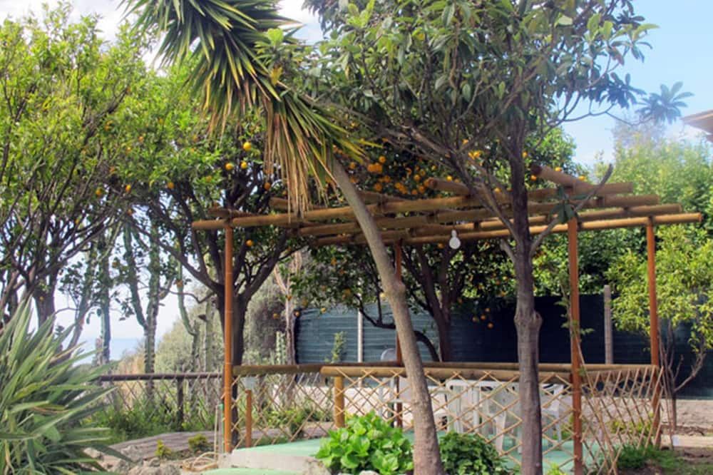 Outdoor view