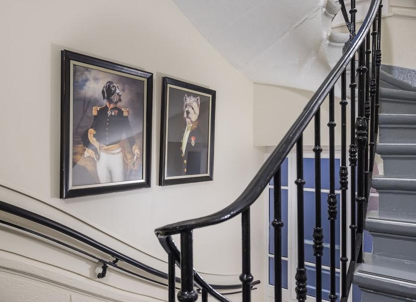 Stairs Photo