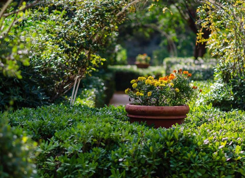 Outdoor view Photo