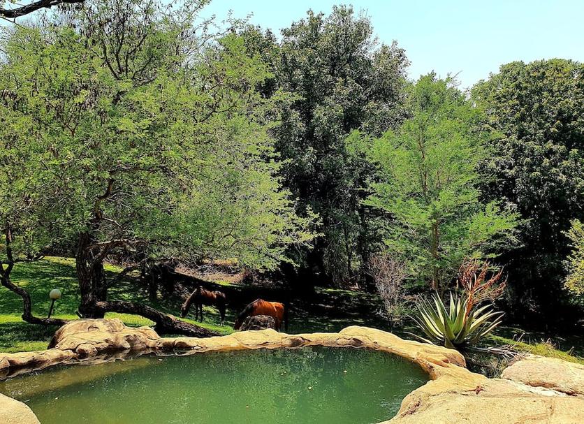 Outdoor view Photo
