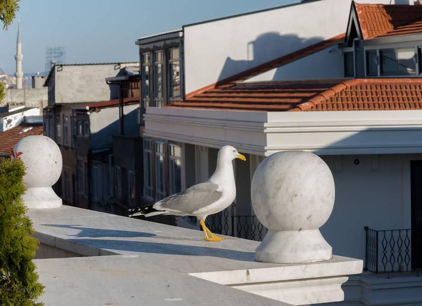 Outdoor view Photo