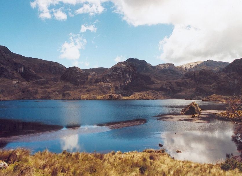 Other Photo