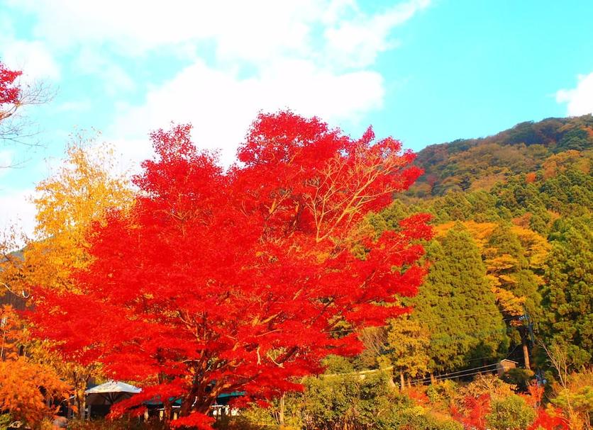 Outdoor view Photo
