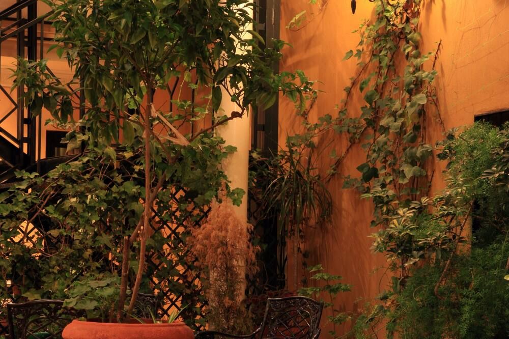 Outdoor view