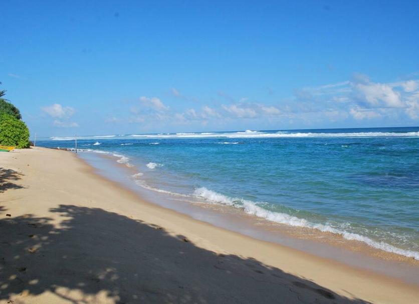 Beach Photo