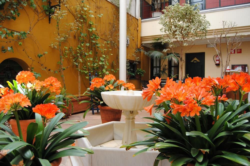 Outdoor view