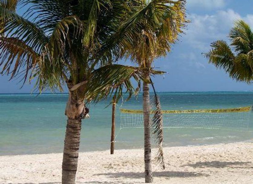 Beach Photo