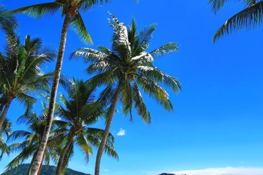 Outdoor view
