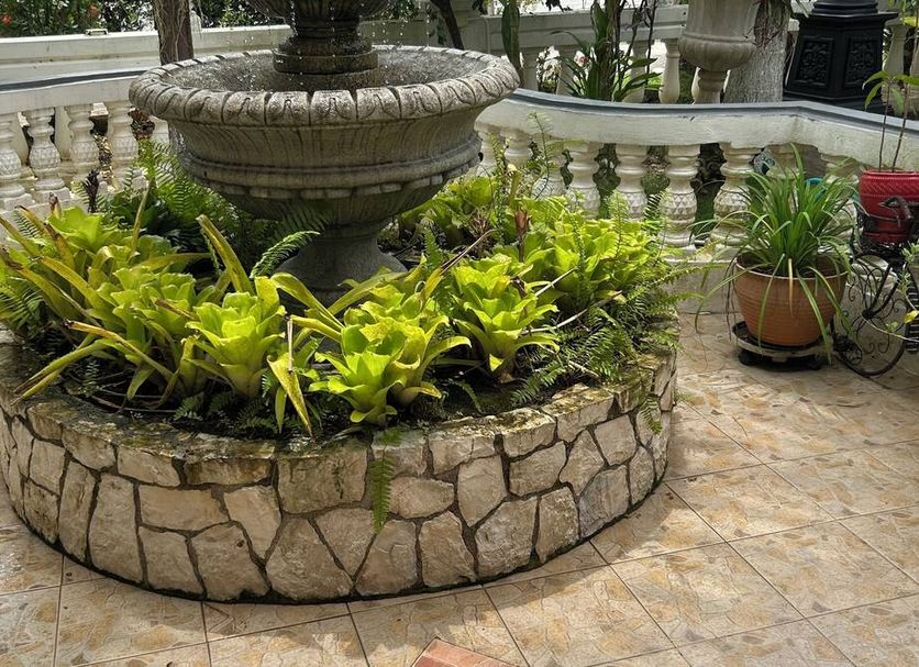 Other Photo
