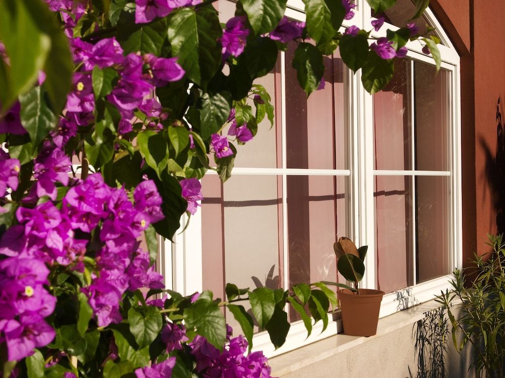 Outdoor view