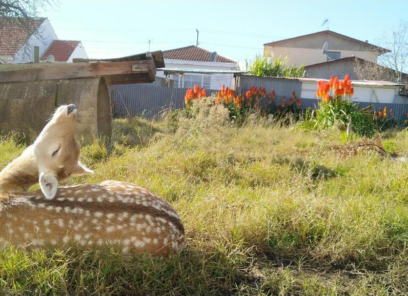 Outdoor view Photo