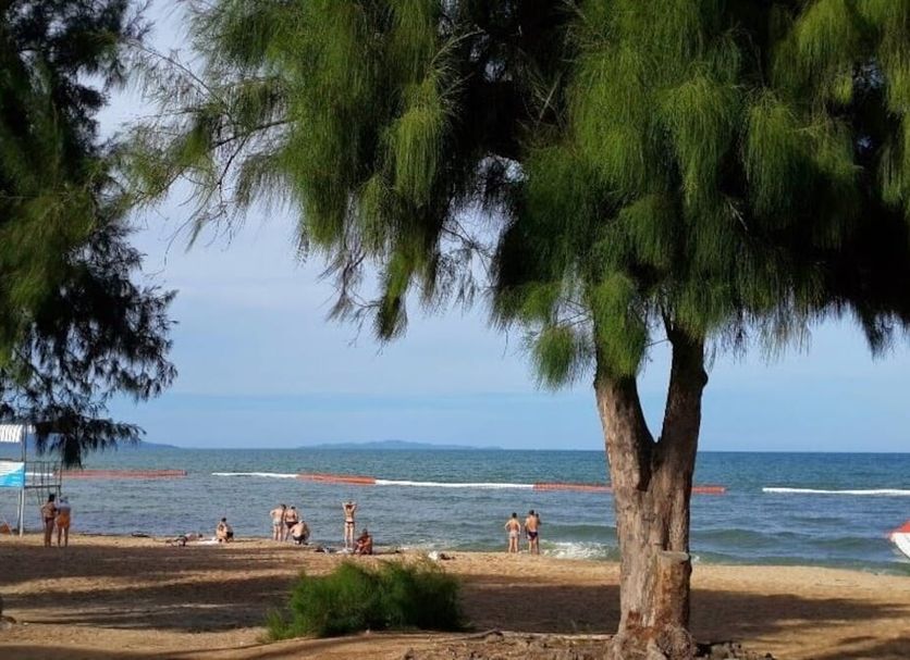 Beach Photo