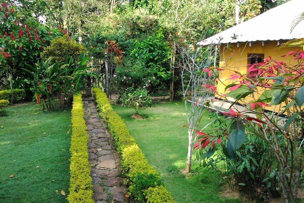 Outdoor view
