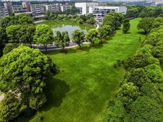 Outdoor view