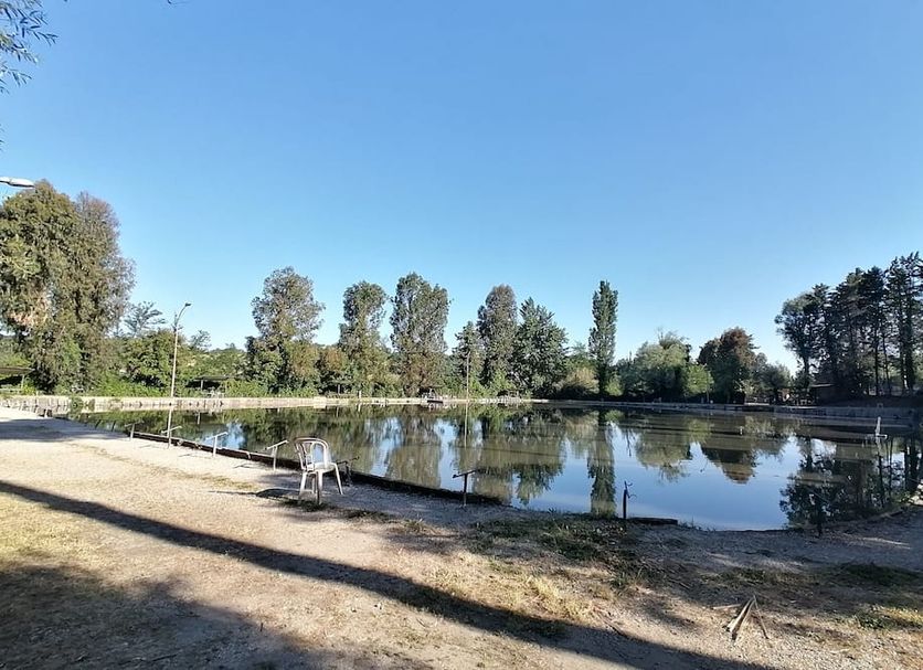 Other Photo