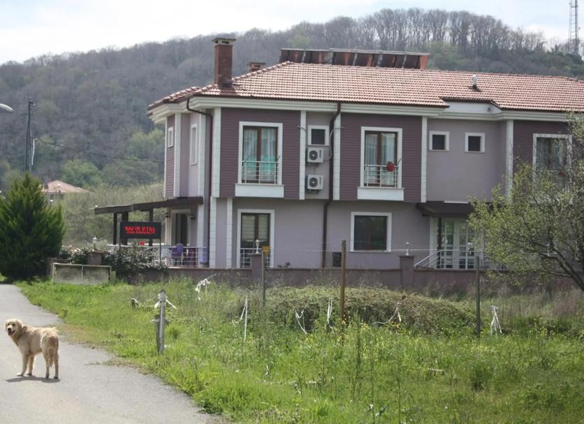 Other Photo