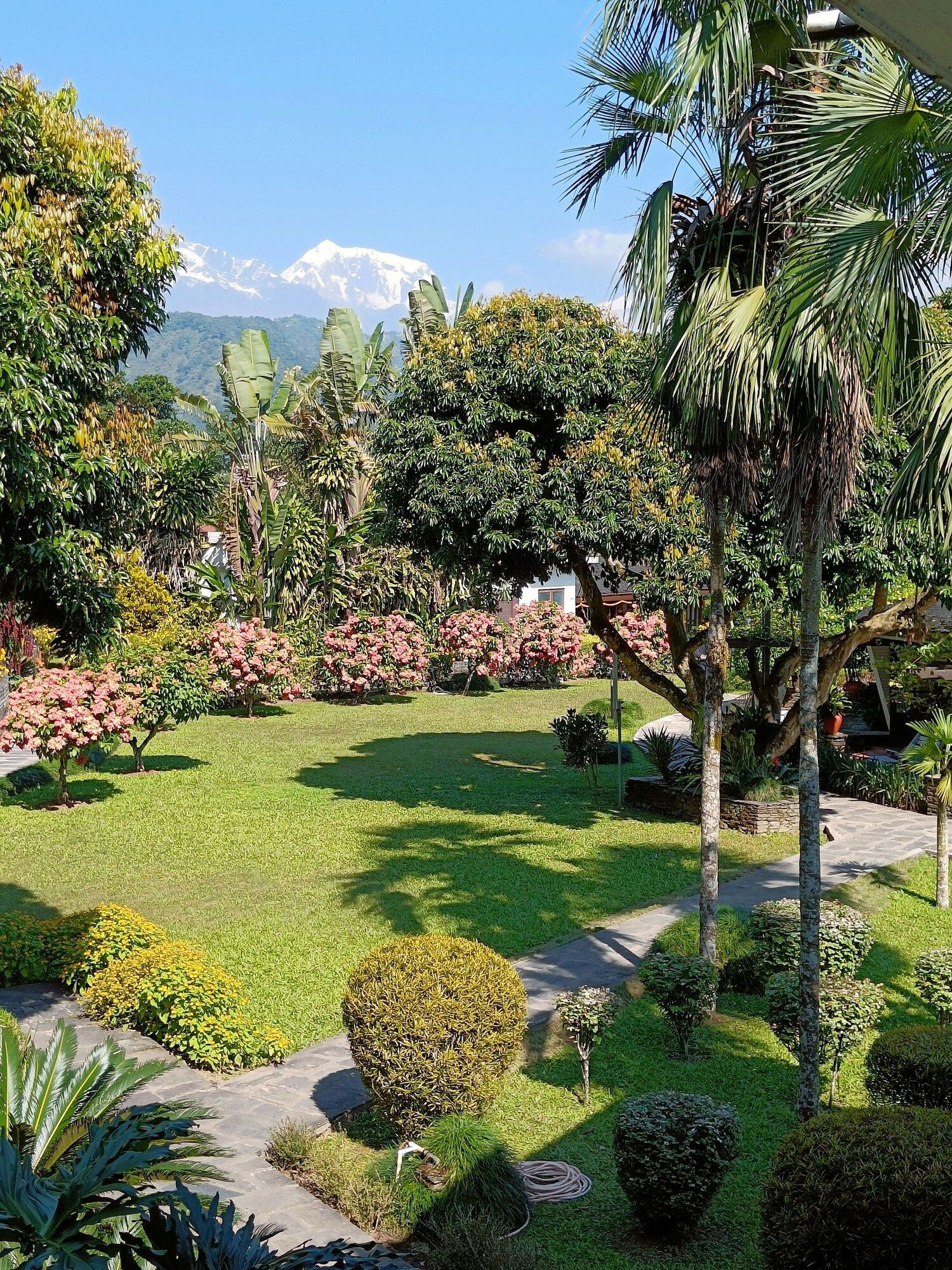 Outdoor view