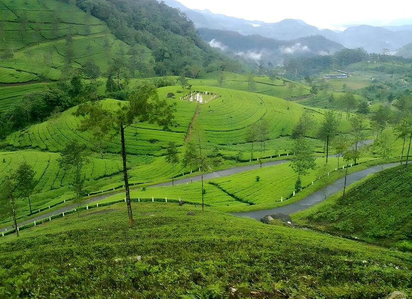 Outdoor view Photo