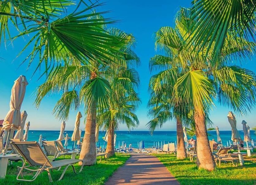 Beach Photo