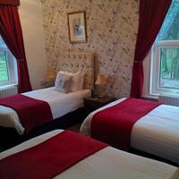 Willow Tree Lodge Hotel
