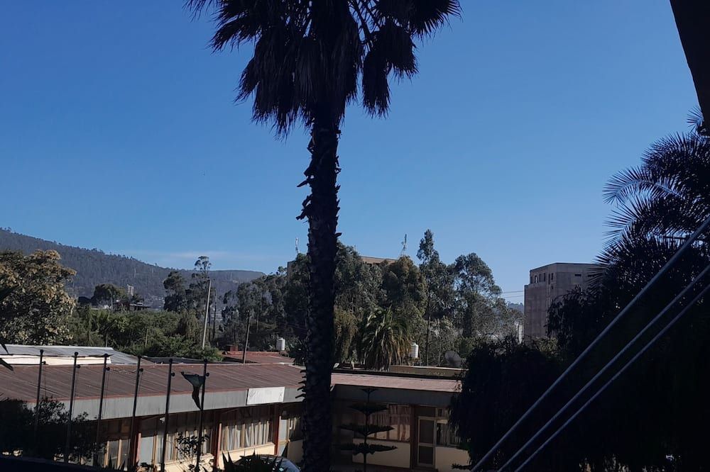 Outdoor view