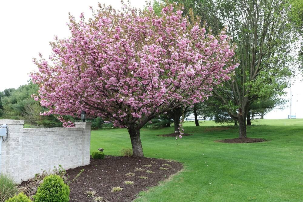 Outdoor view