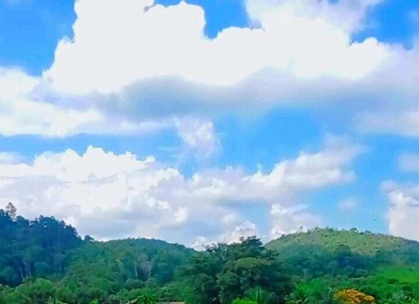 Outdoor view Photo