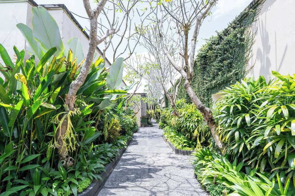 Outdoor view