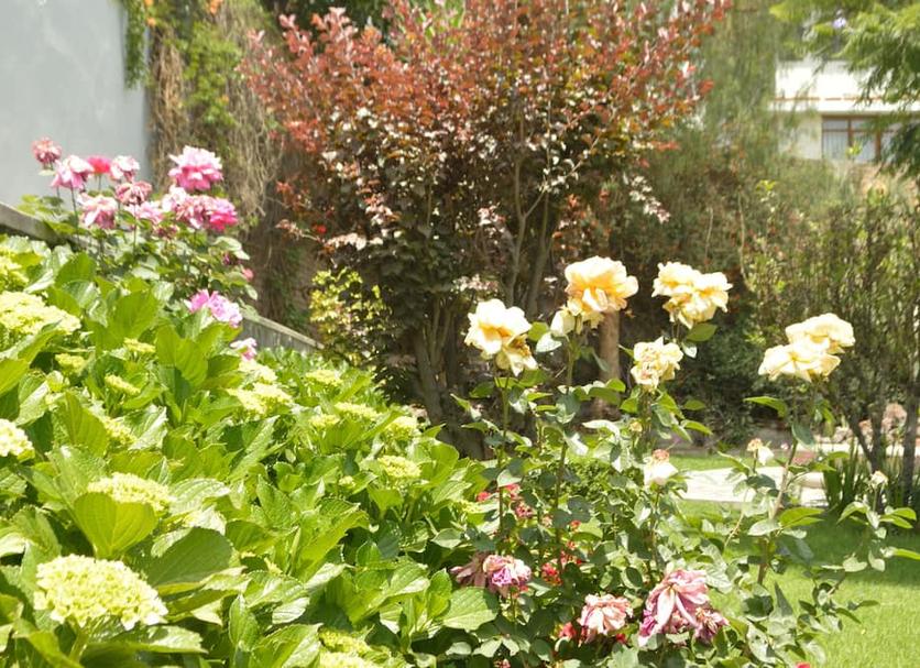 Outdoor view Photo