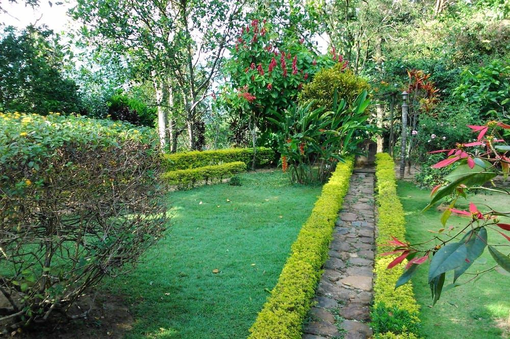 Outdoor view