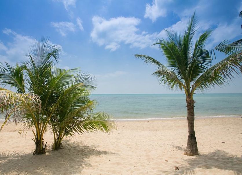 Beach Photo