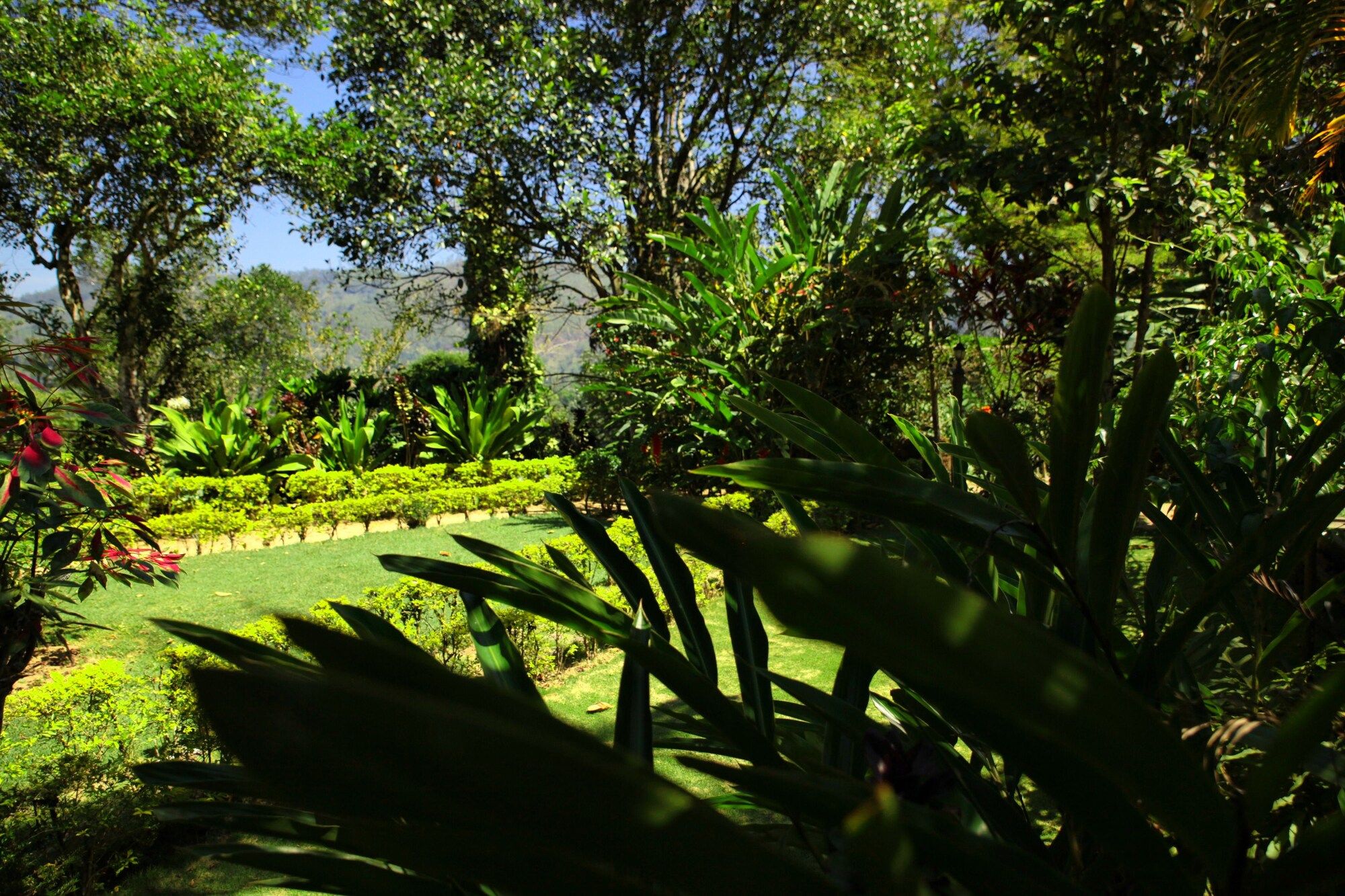 Outdoor view