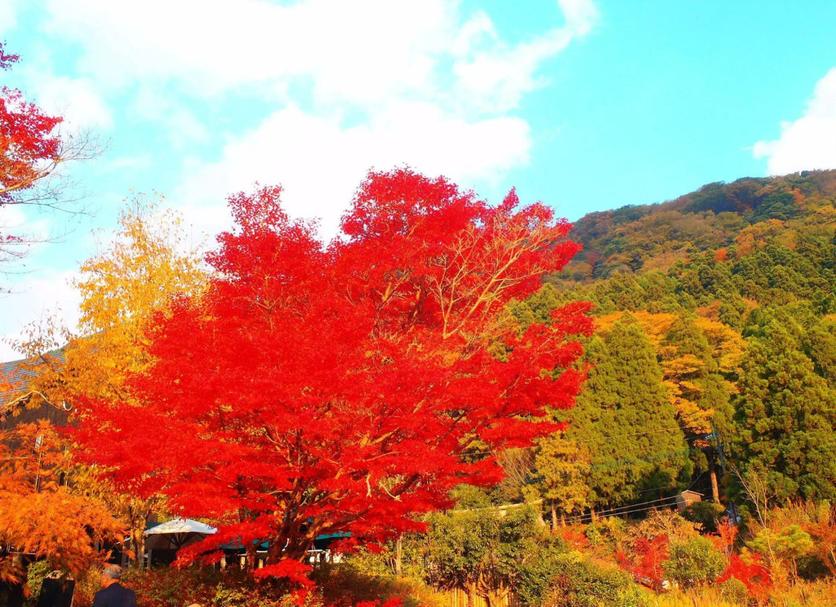 Outdoor view Photo