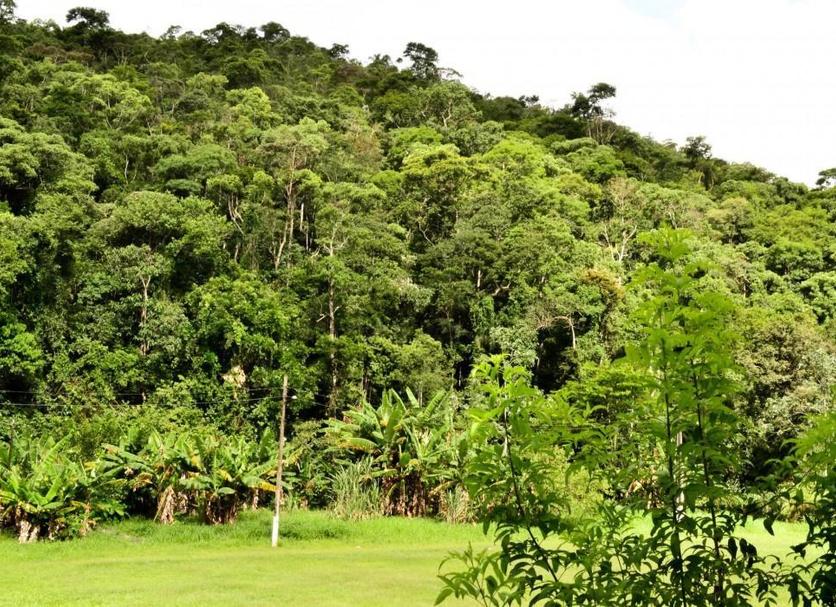 Outdoor view Photo