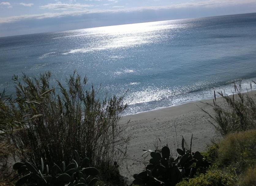 Beach Photo