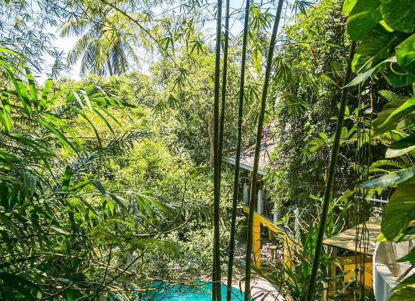 Outdoor view Photo