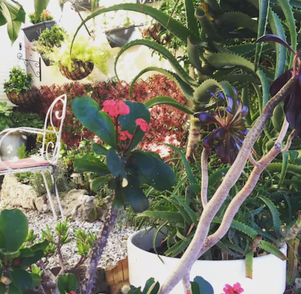 Outdoor view