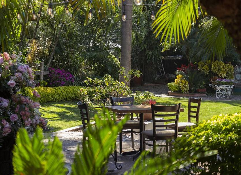 Patio Photo