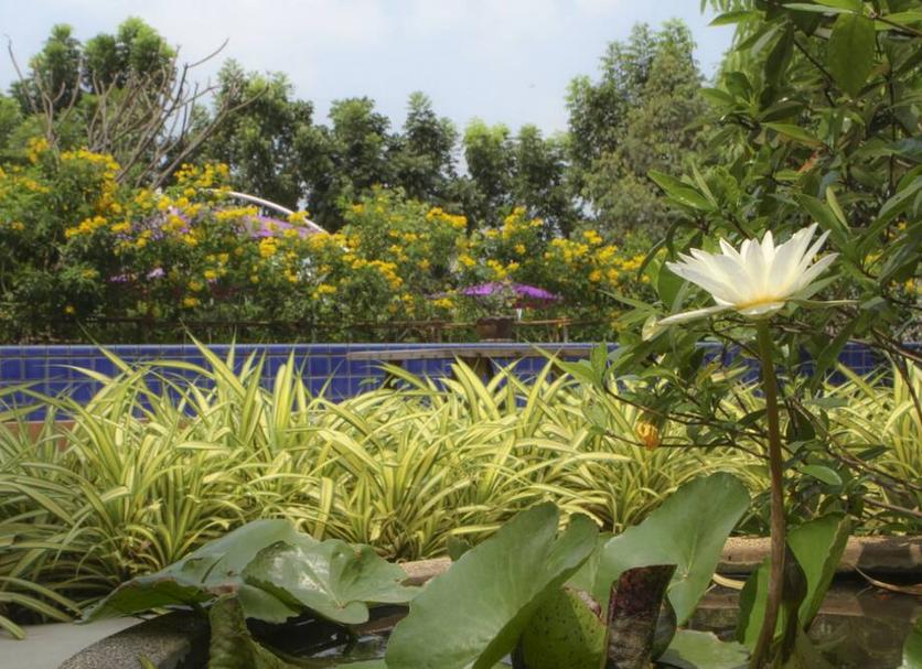 Outdoor view Photo