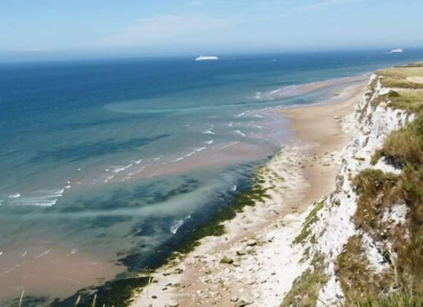 Other Photo
