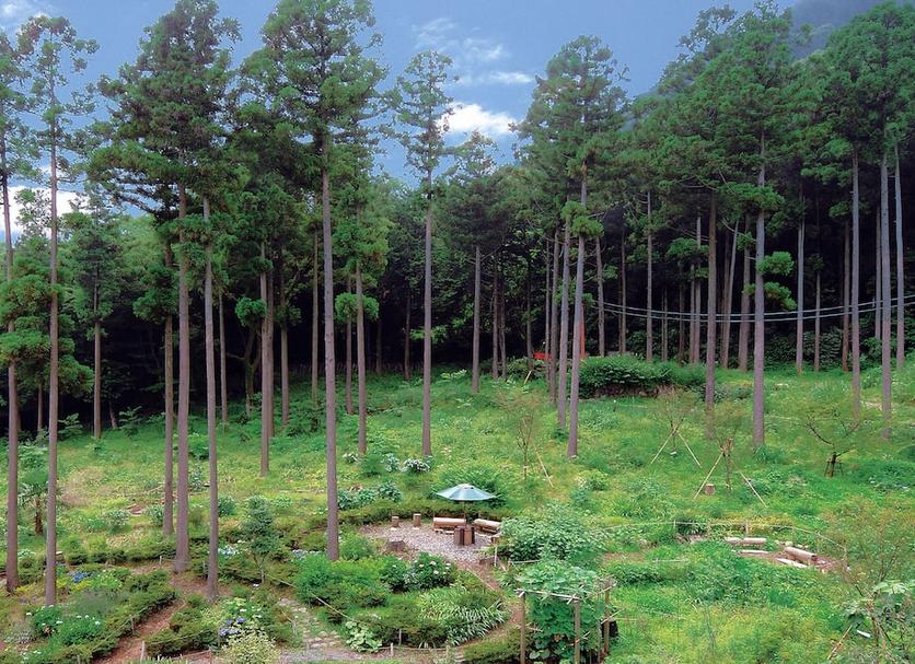 Outdoor view Photo