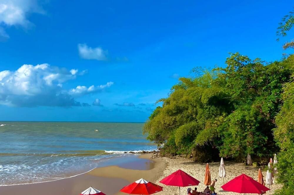 Beach Photo