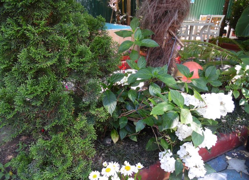 Outdoor view Photo